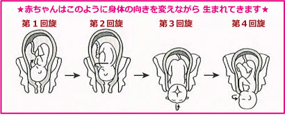 産前の骨盤ケアでhappyなお産を しま接骨院 整体院